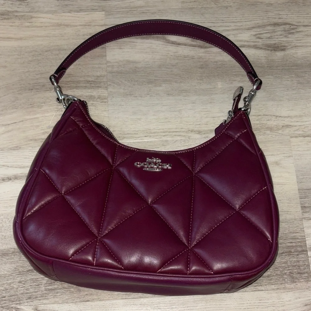 Teri Hobo Bag With Puffy Diamond Quilting - Picture 4 of 6